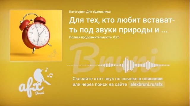 Звук: Для тех, кто любит вставать под звуки природы и птичек смотреть онлайн