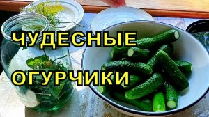 Малосольные хрустящие огурчики по старому рецепту.