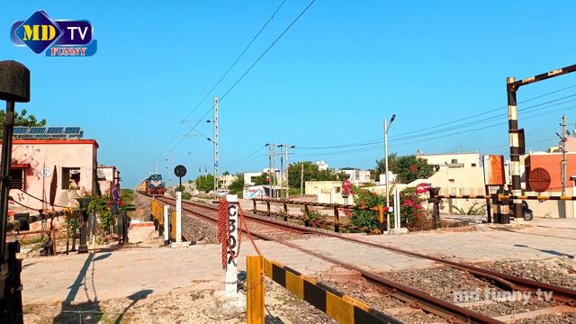 vansh mor cat train funny video | bili train video funny | cat video | animal video | train video смотреть онлайн