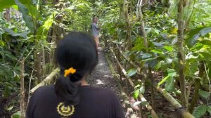 Достопримечательности Бали. Убуд. Что посмотреть и где находятся красивые места