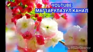 Нашид про маму на аварском