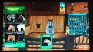 Star stable online| ПЕРВОЕ ВИДЕО|ДЕНЬ РОЖДЕНИЯ 7 ЛЕТ