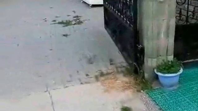 Плитка под машину смотреть онлайн