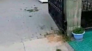 Плитка под машину