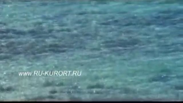 Растения Черноморского побережья Кавказа смотреть онлайн