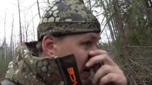 Охота на бобра с фонарём #12 castor fiber