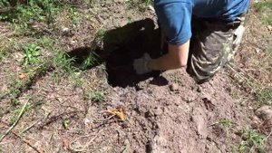 Поиск грибов с помощью металлоискателя :)