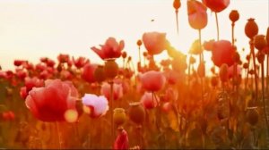 С добрым утром, мой любимый  Алевтина Егорова