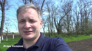 Как выращивают ранний арбуз