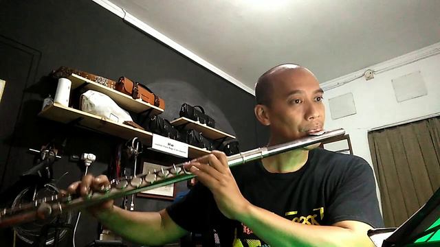 Trevor James Flute Alto смотреть онлайн