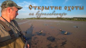 Открытие охоты на уток с чучелами