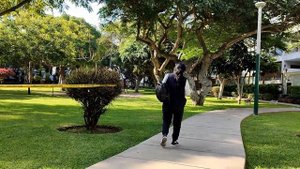 Парк. Разговоры на лавочке