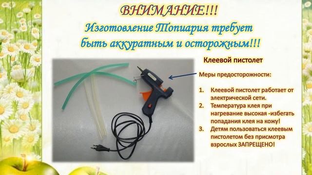 Мастер-класс по созданию ТОПИАРИЯ