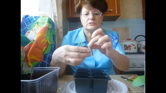 Из таблеток пересадка земляники. ВПЛ. смотреть онлайн