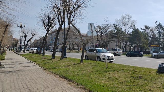 269.г. Хабаровск. Дальгипротранс - ТРЦ Броско Молл. 23.04.24.