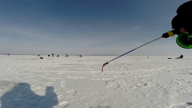 Как поймать пассивного судака зимой? Простая и уловистая приманка на хищника. Догонялка на судака