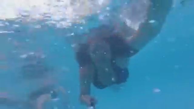 Vania nadando 2015 - 2016 смотреть онлайн