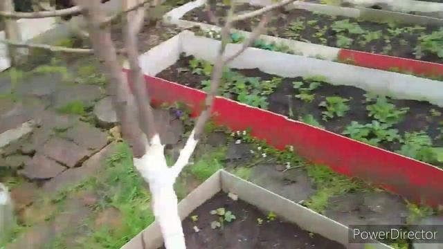 Купили Дом/Теплица ,Парник Своими Руками//Борьба со Слизнями и Улитками!//Что Растет в Теплице
