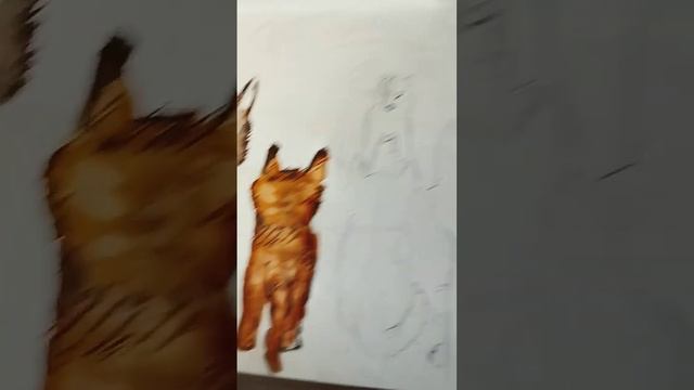 Белочка с Ежевикой уже расскрашеннв #возвращение2_0 #залетипж #залетит #рекомендации #хочувреки смотреть онлайн