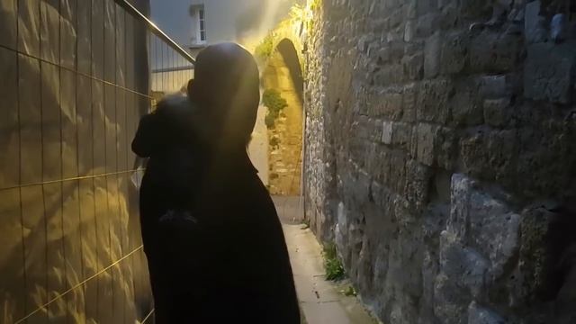 ФРАНЦУЗ пробует Русские СЛАДОСТИ. Французский СВЁКОР влюбился в РУССКУЮ ХАЛВУ. ПОДАРОК от СВЕКРОВИ. смотреть онлайн