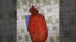 мед осмотр картофель