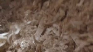 утепление дома опилками ч 2  или экодом home insulation sawdust, part 2