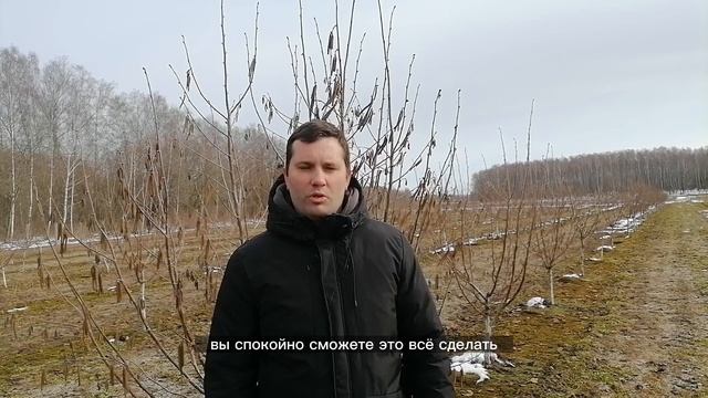 КАКОЙ СРОК ПОСАДКИ У ФУНДУКА? смотреть онлайн