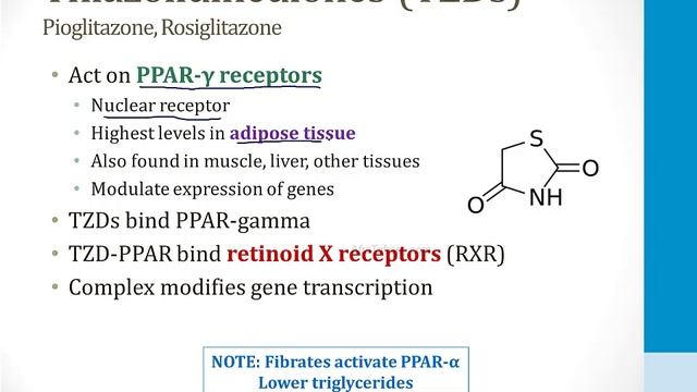 Эндокринология USMLE - 3. Поджелудочная железа - 4.Лечение сахарного диабета