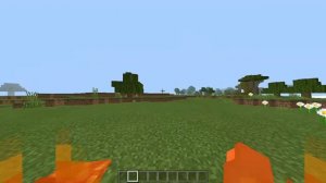 Minecraft Low fire texture pack 1.16.210