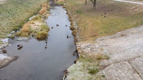 Обзор влогов / Многомама / Что происходит с каналом Многомама и какой доход с видео?!