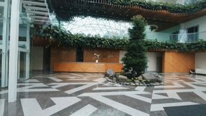 ОРЁЛ И РЕШКА. Новосибирск. НОВОЕ ПОКОЛЕНИЕ - лето