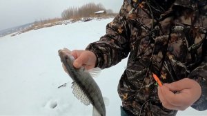 Ловля щуки и судака в отвес на балансиры в зимний период.  Балансиры Крапаль в глухозимье.