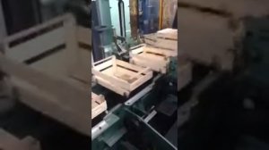 производство деревянной тары. упаковщик EUROTEM