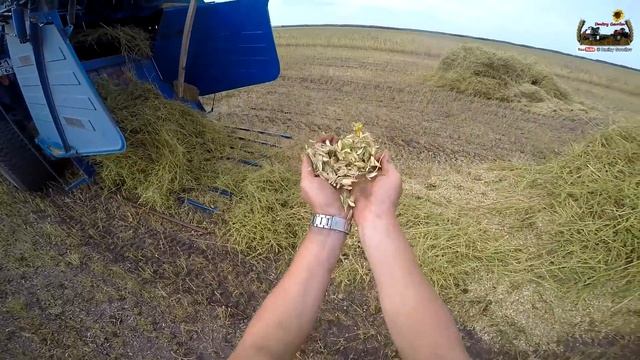 70-д. 2016 "Начинаем убирать нут. Енисей 1200-1нм" смотреть онлайн