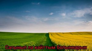 Ильмира Шайдуллина - Кайту(Караоке под плюс)