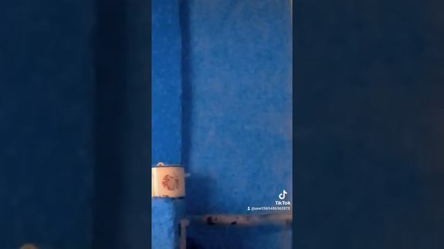 6 марта 2022 г. смотреть онлайн