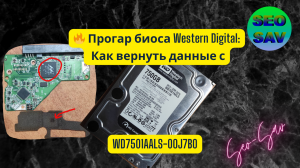 ? Сгорел биос (пзу) у Western Digital: Как вернуть данные с WD7501AALS-00J7B0