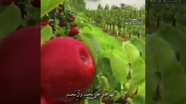 December 29, 2018 смотреть онлайн