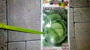 Капуста Савойская Вертю 1340 - ознакомление
