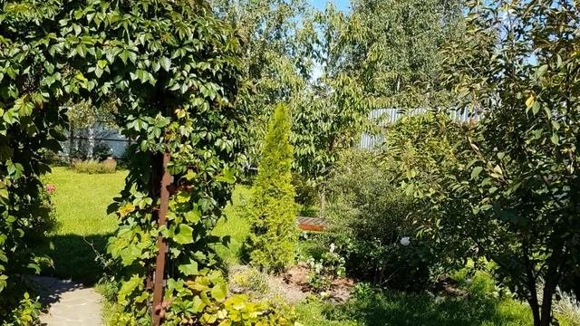 Секреты ухода за декоративными кустарниками.