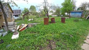 Грядки - планировка огорода, первые посадки на даче