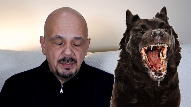 К чему снится злая собака, что значит злая собака или стая собак во сне? | Толкование снов