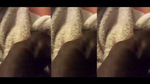 Морской свинке 1 год|морская свинка скинни|СВИНКИ СВИНКИ с МОРЯ