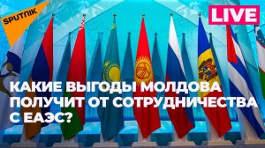 ПМЭФ-2024: как бизнес Молдовы и ЕАЭС преодолевает геополитические вызовы?