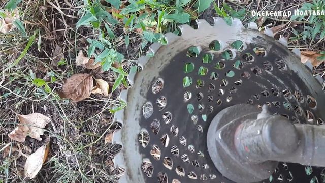 Збір гарбузів 2020 смотреть онлайн