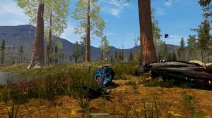 DAY OF DRAGONS ВЗРОСЛЫЙ ПЛАЗМА ДРАКОН ПОЛЕТ И МИГРАЦИЯ