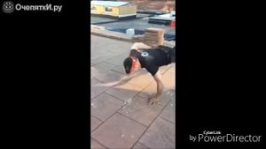 ,,Отжимание без рук"