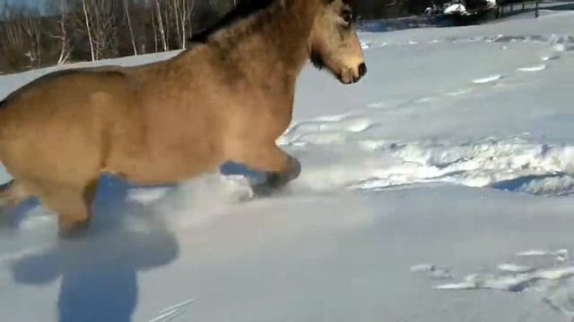 булан 20.02.2021 смотреть онлайн