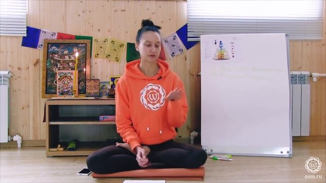 Ахимса и вегетарианство. Александра Штукатурова смотреть онлайн