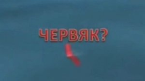 нечего себе что это всплыло червяк? читос?